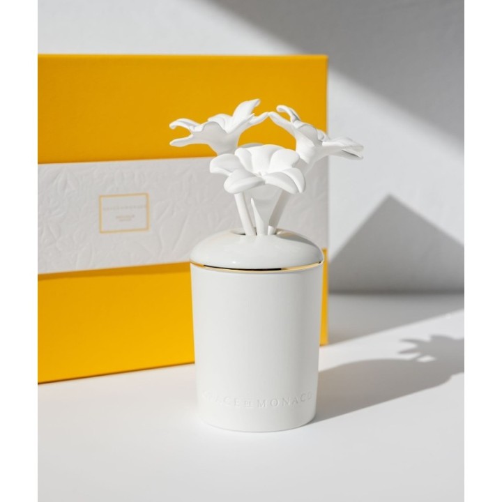 Porcelain Fragrance Diffuser