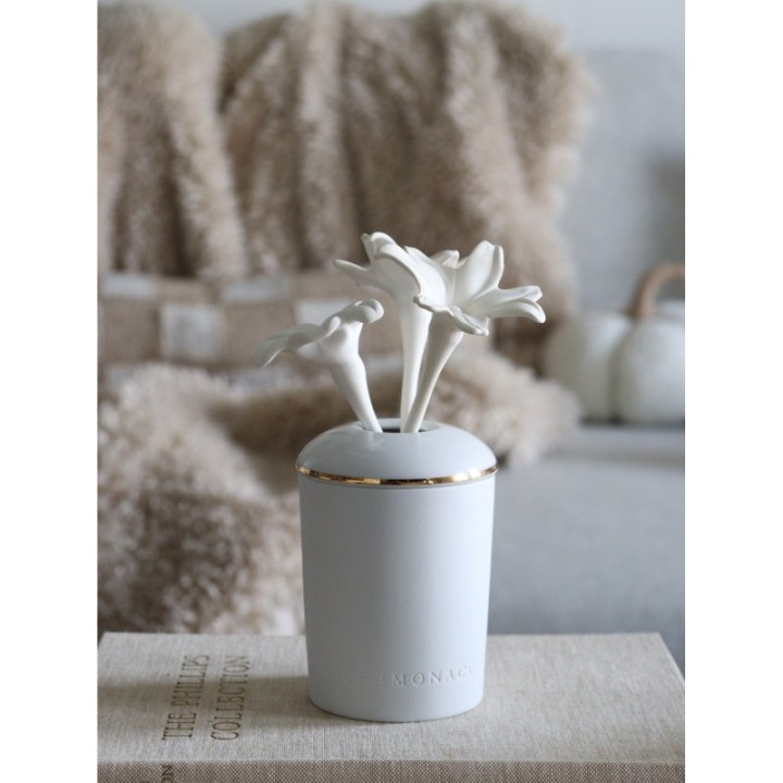 Porcelain Fragrance Diffuser