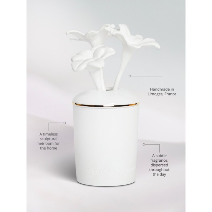 Porcelain Fragrance Diffuser