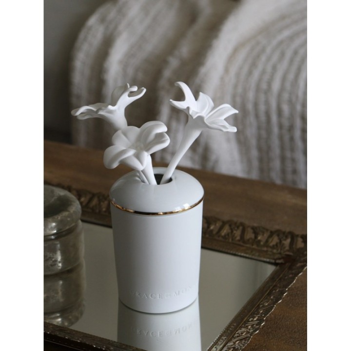 Porcelain Fragrance Diffuser